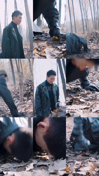 0182-至尊神皇 内容图1 一个实时收录全网最齐全的短视频短剧网剧小剧场的网站! 0182-至尊神皇 最新 图1张