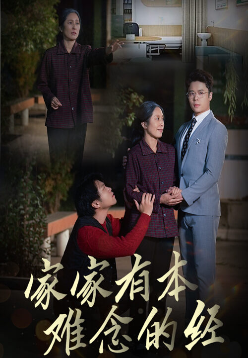 17867-家家有本难念的经(34集)