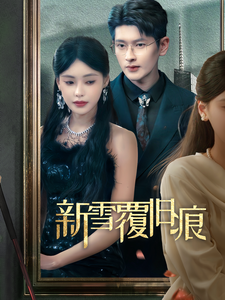 17822-新雪覆旧痕(60集)