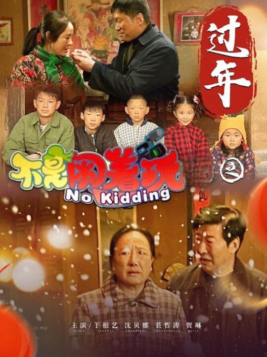 17371-不是闹着玩之过年(24集)