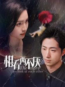 17228-相看两不厌(80集)王凯沐-宋彧佳