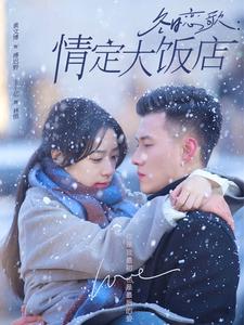 17105-冬日恋歌情定大饭店(74集)黄文博-王小亿