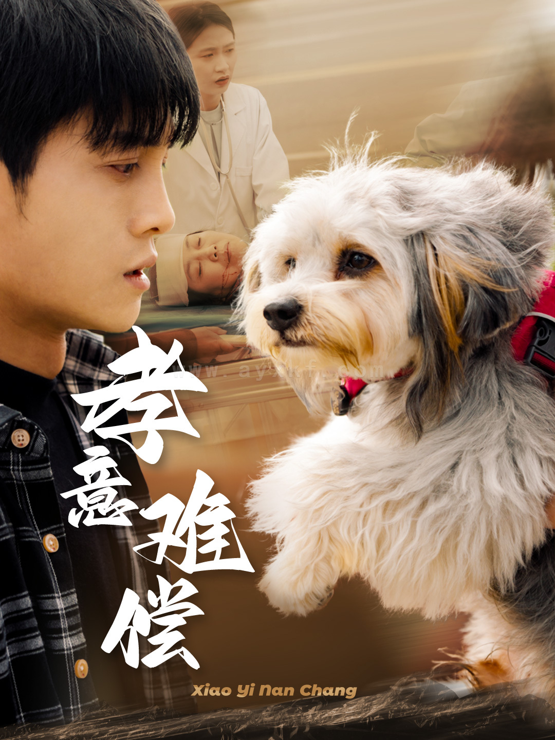 17909-孝意难偿(32集) 最新 图1张