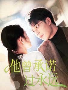 17889-他曾承诺过永远(70集)