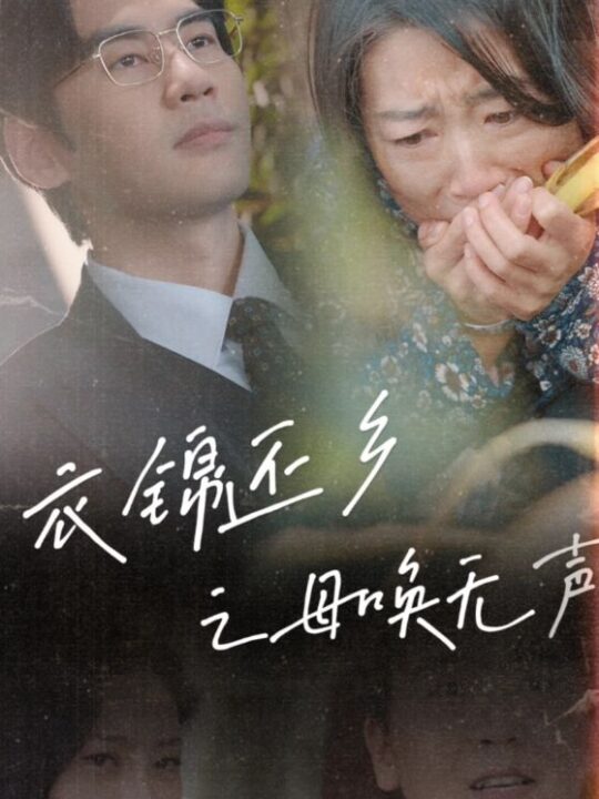 17294-衣锦还乡之母唤无声(60集)