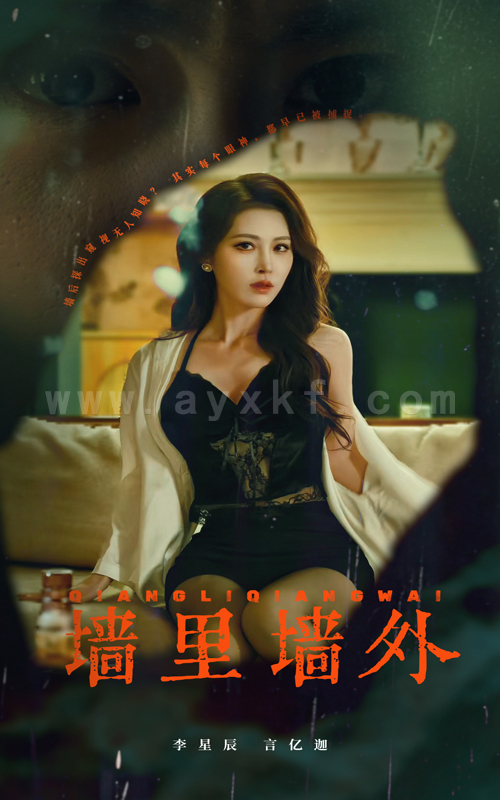 17208-墙里墙外(55集)李星辰 最新 图1张