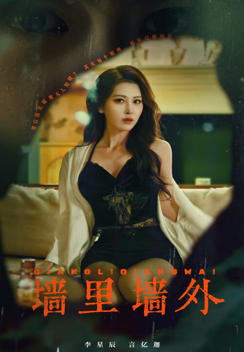 17208-墙里墙外(55集)李星辰