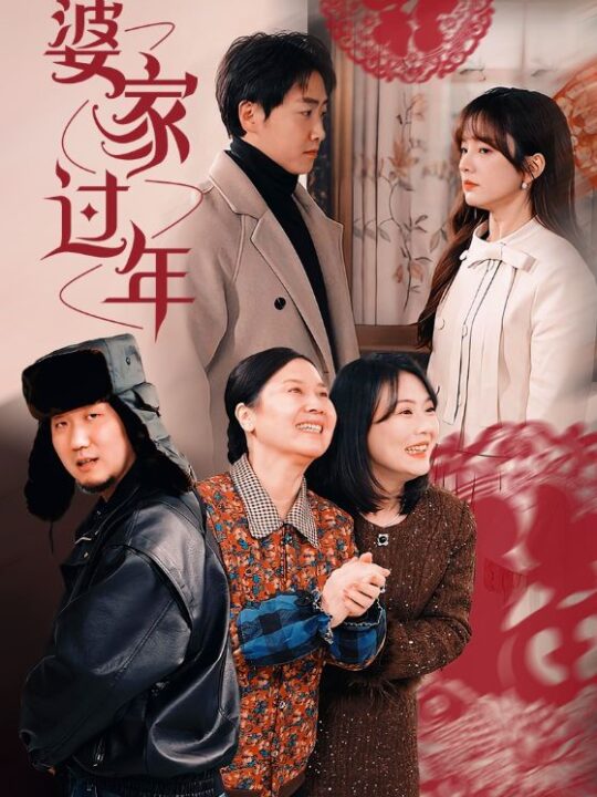 17091-婆家过年(71集)王子怡