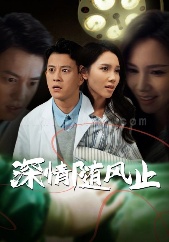 17993-深情随风止(54集)陈舒琪 最新 图1张