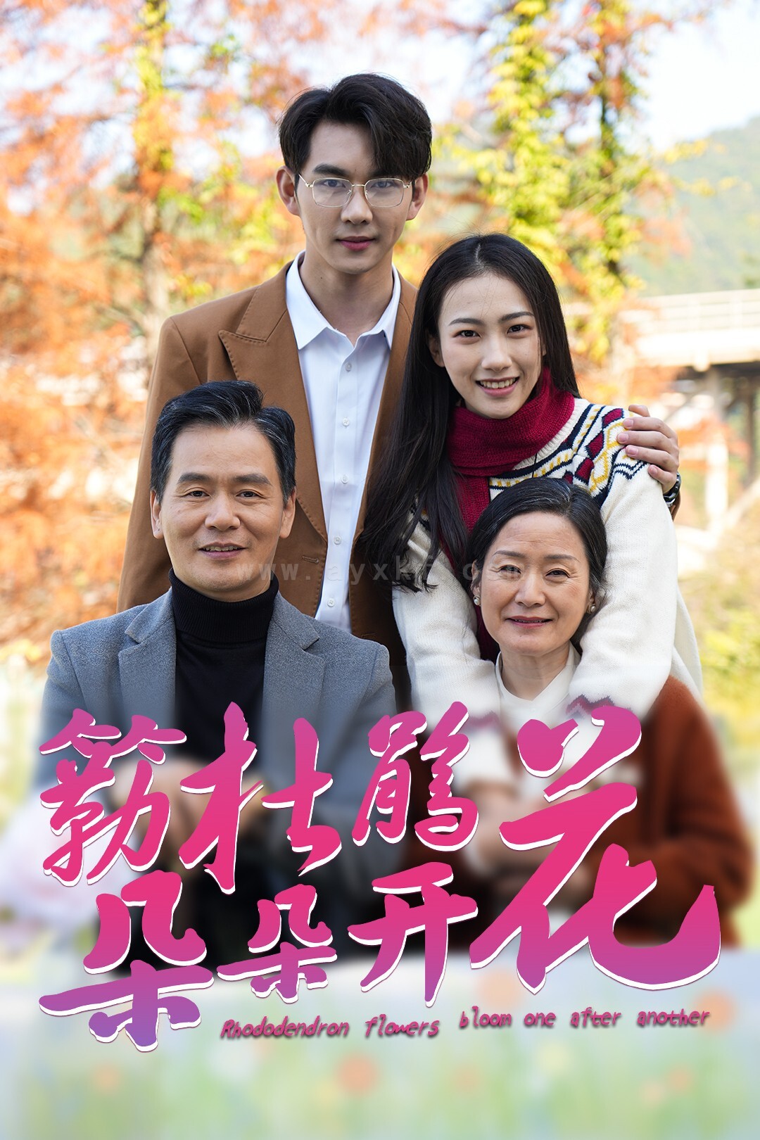 17836-簕杜鹃花朵朵开(38集) 内容图1 一个实时收录全网最齐全的短视频短剧网剧小剧场的网站! 17836-簕杜鹃花朵朵开(38集) 最新 图1张