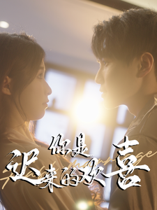 18100-你是迟来的欢喜(78集) 最新 图1张