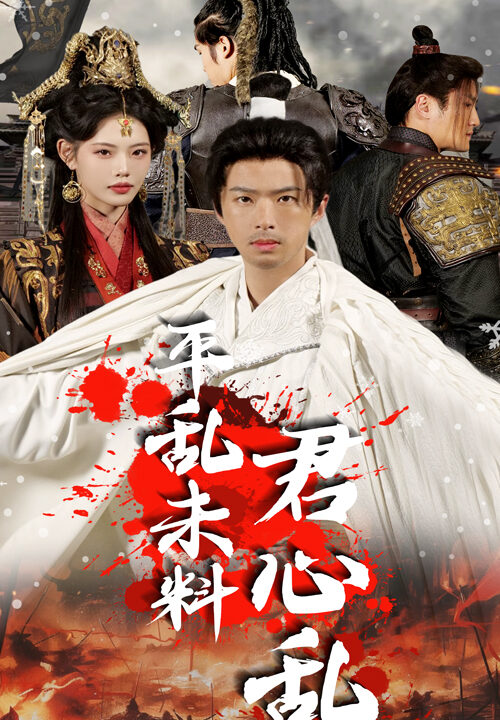 17815-平乱未料君心乱(30集)孔奇力-董洁