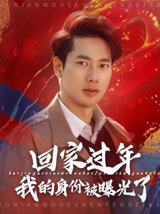 17553-回家过年我的身份被曝光了(60集)张子安