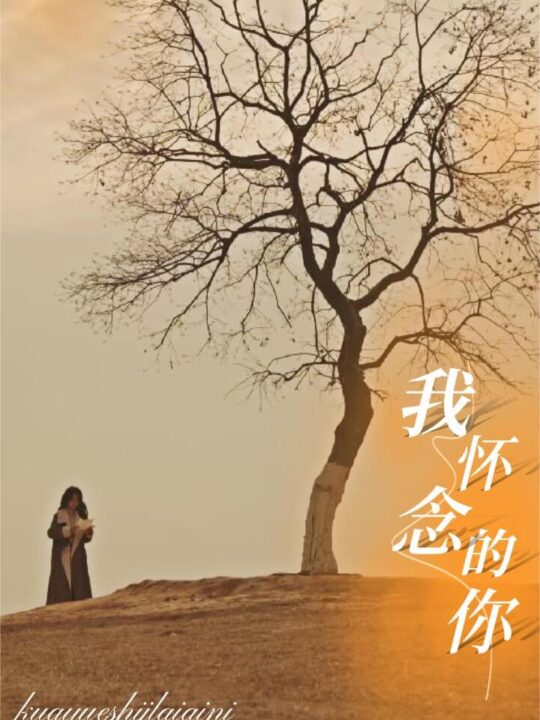 17592-我怀念的你-跨越时间来爱你(38集)