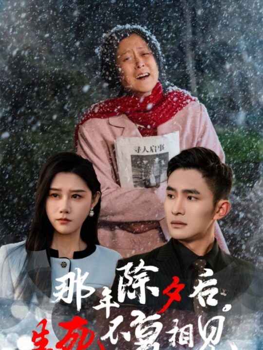 17436-那年除夕后生死不复相见(48集)魏昕怡