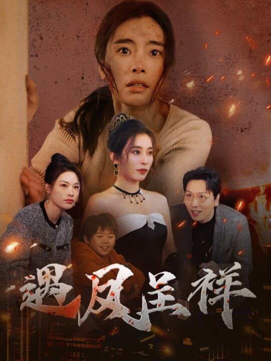 18090-遇凤呈祥(50集)张晓楠