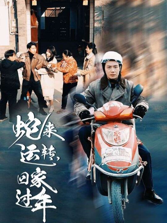 17166-蛇来运转回家过年(55集)