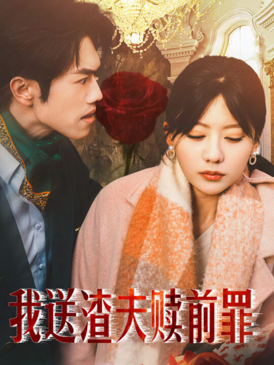 18119-我送渣夫赎前罪(30集)