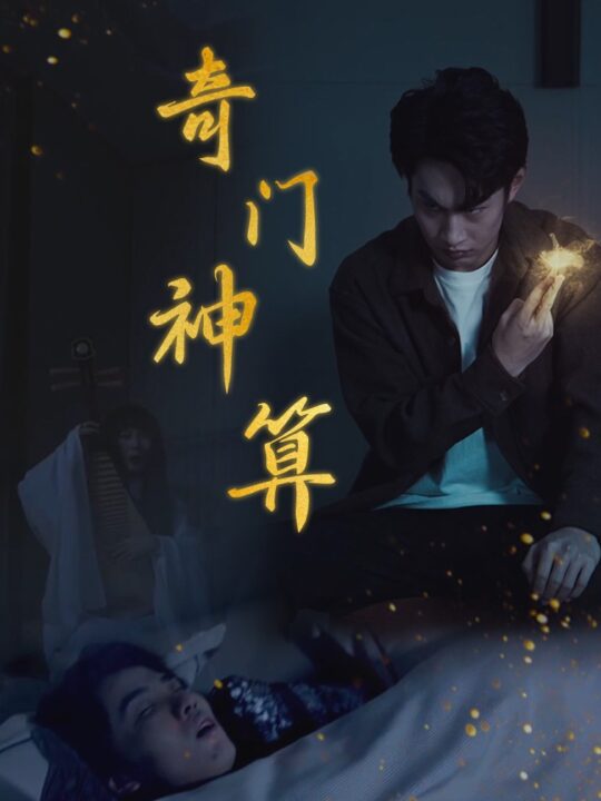 17135-奇门神算(52集)