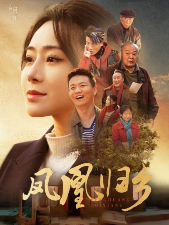 17444-凤凰归乡(33集)