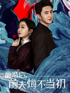 18038-离婚后前夫悔不当初(40集) 最新 图1张