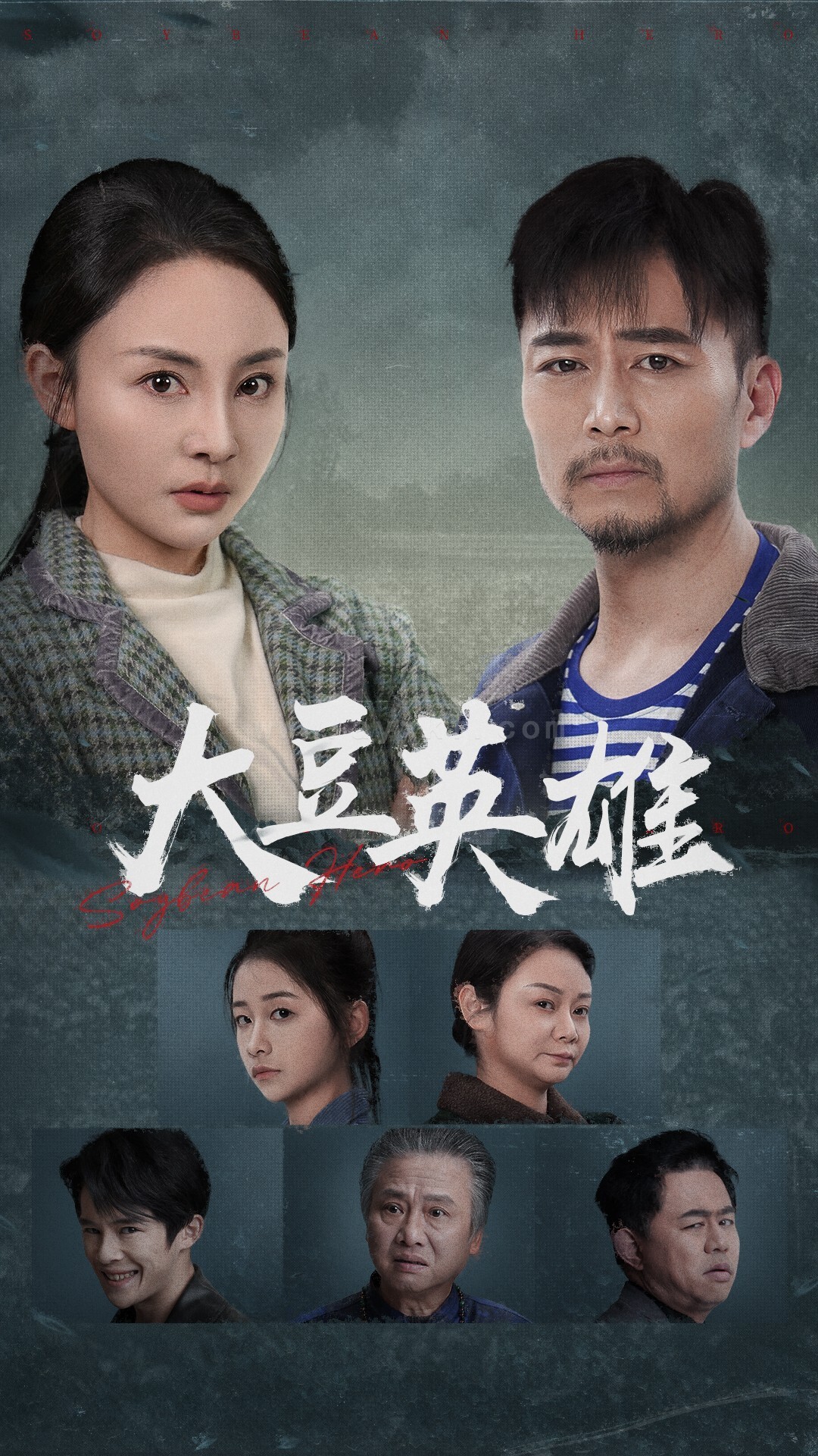 17898-大豆英雄(60集) 最新 图1张