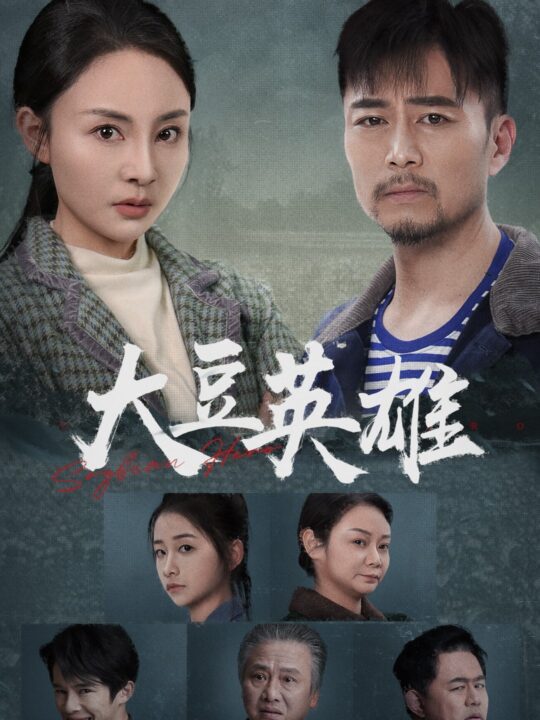 17898-大豆英雄(60集)