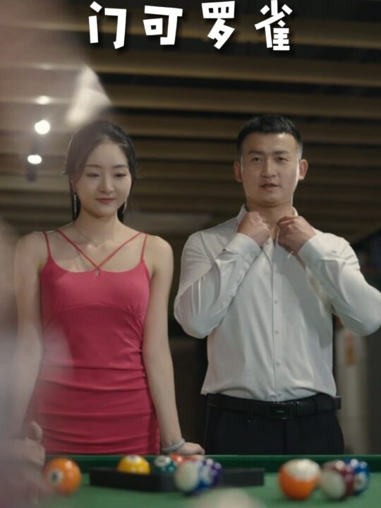 17737-门可罗雀(91集)擦边剧