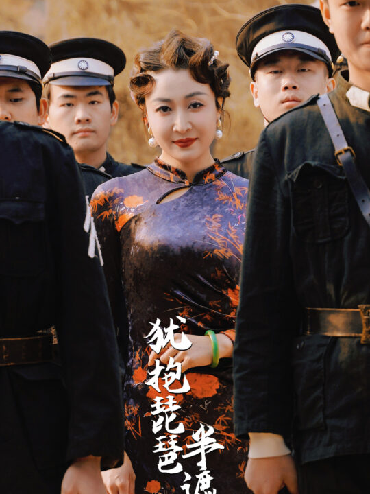 17751-犹抱琵琶半遮面(40集)游雅