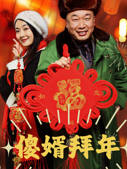 18118-傻婿拜年(32集)