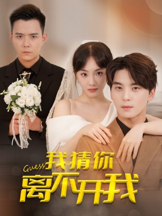 17295-我猜你离不开我(39集)