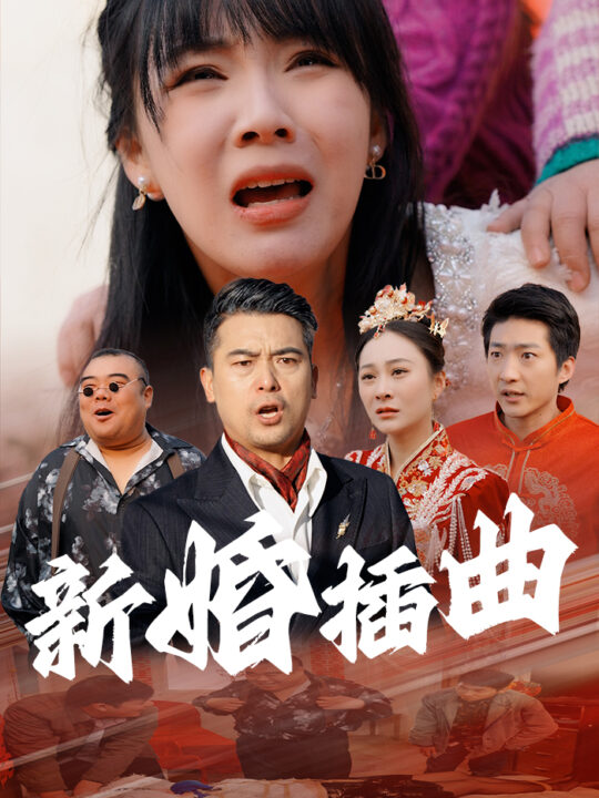 17762-新婚插曲(29集)