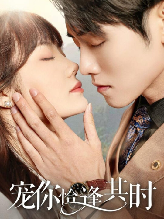 18012-宠你恰逢其时(60集)