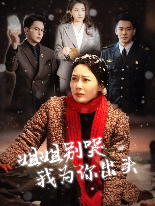 17607-姐姐别哭我为你出头(48集)