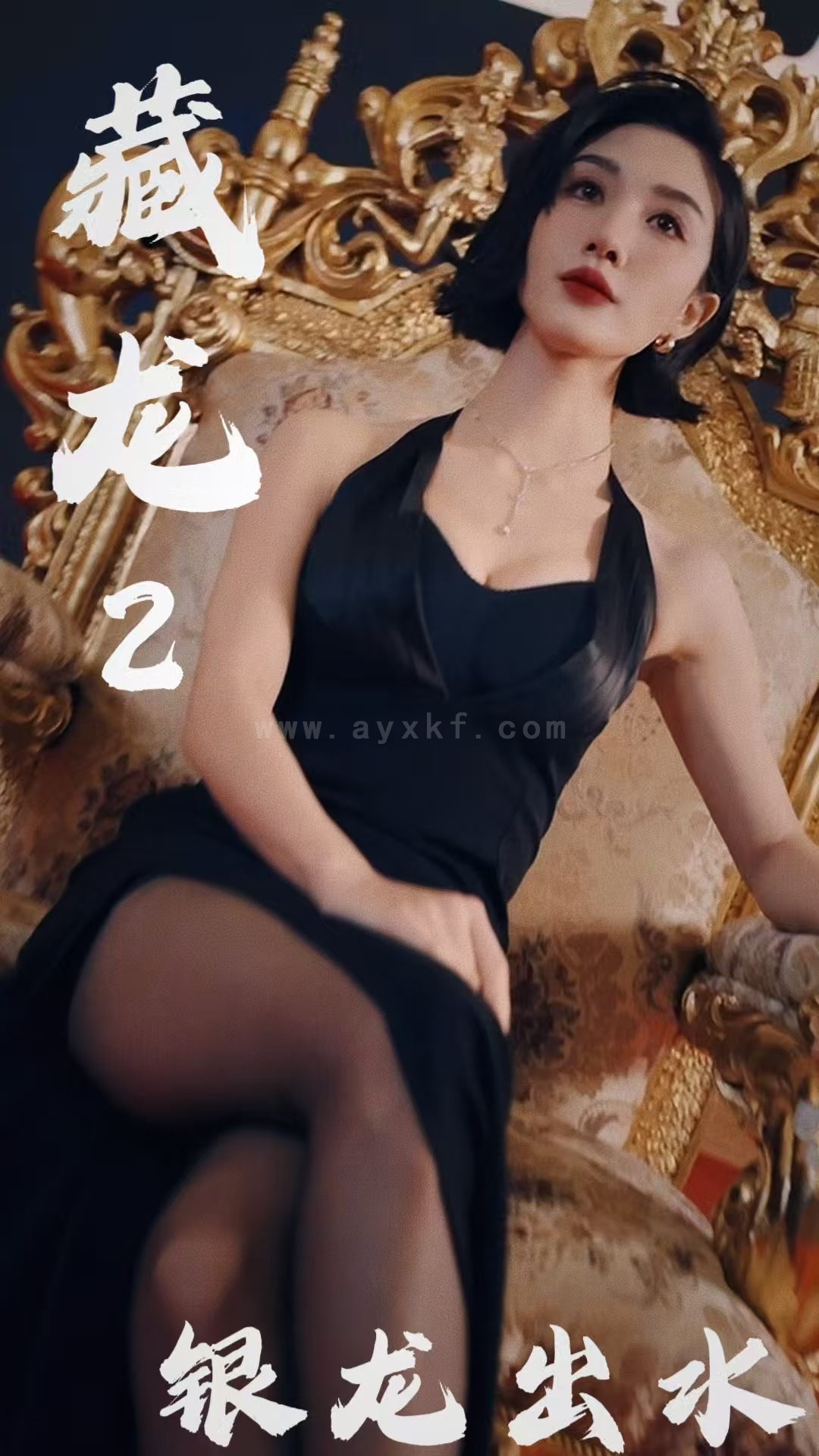 17264-藏龙2银龙出水(35集) 最新 图1张