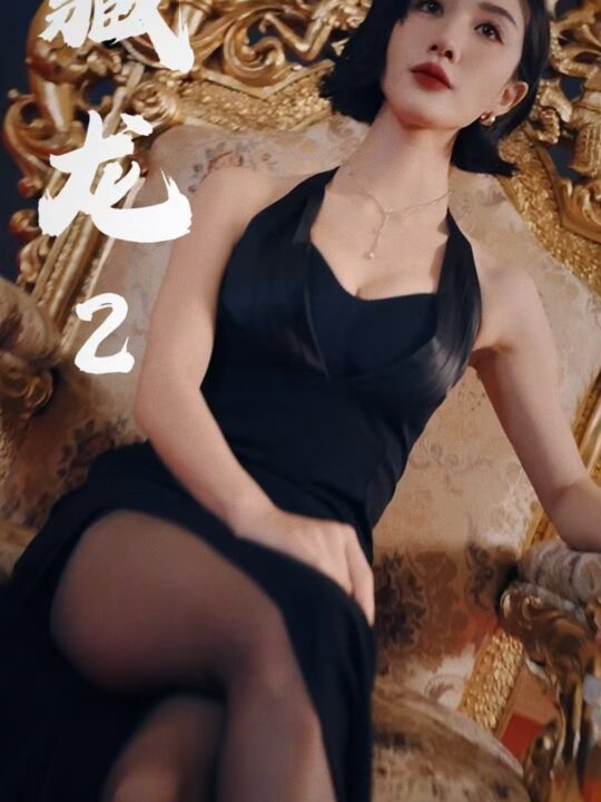 17264-藏龙2银龙出水(35集)