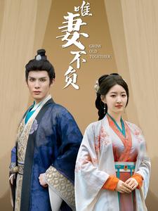 17745-唯妻不负(80集)郭静