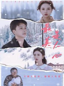 17642-最美是人心(35集)