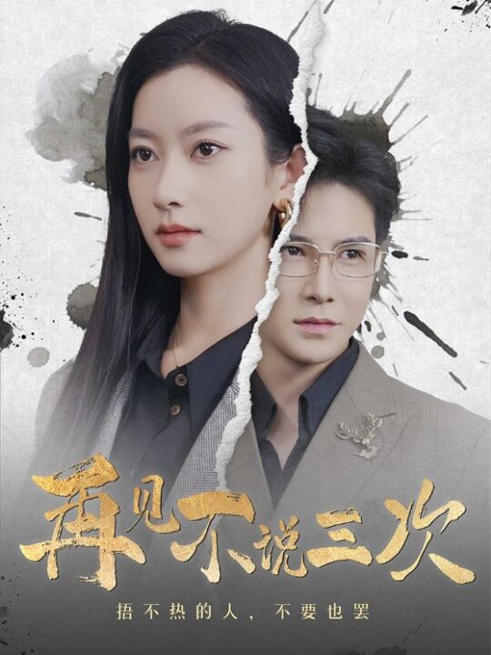 17927-再见不说三次(71集)李子峰