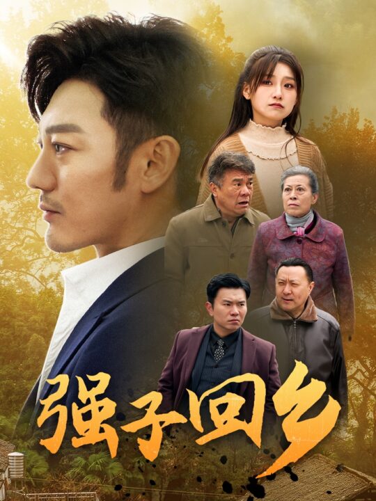 17796-强子回乡(35集)谢海青