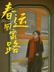 17314-春运回家路(32集)