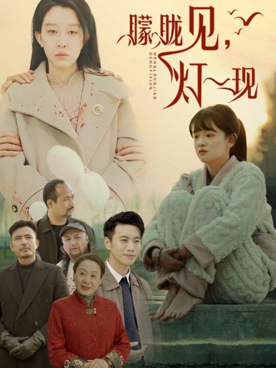 17741-朦胧见灯一现(37集)