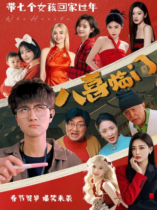 17615-八喜临门(95集)