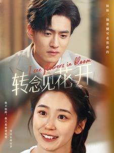 17392-转念见花开(77集)