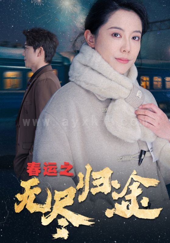 17610-春运之无尽归途(49集) 最新 图1张