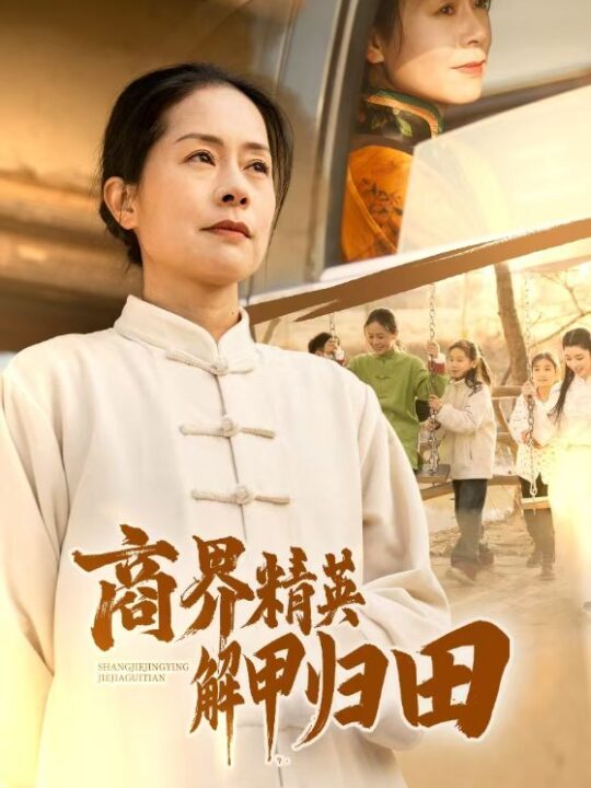 17588-商界精英解甲归田(31集)