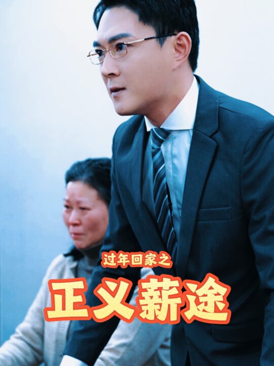 17833-过年回家之正义薪途(40集)
