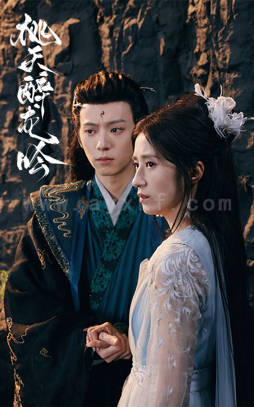 17841-桃夭醉龙吟(30集)贾博雅 最新 图1张