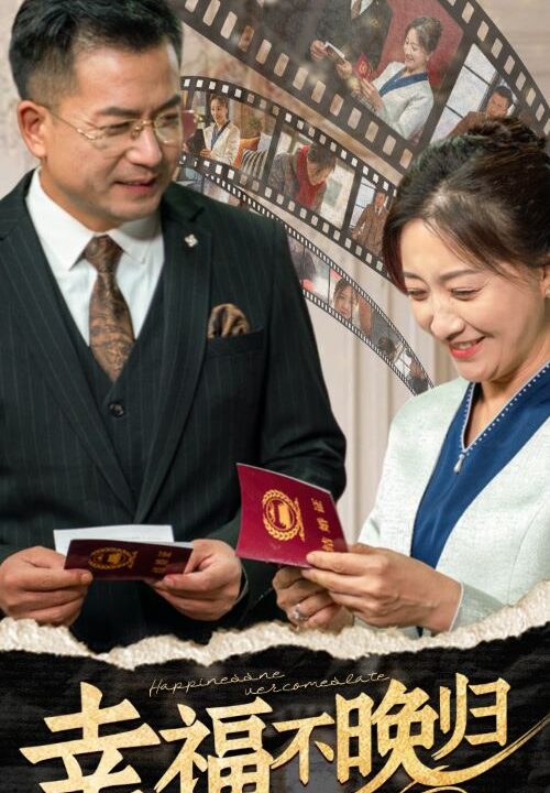 17164-幸福不晚归(61集)