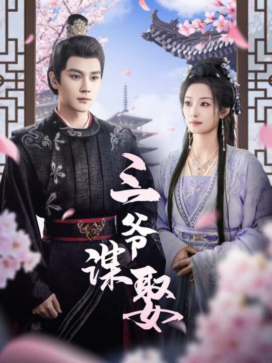 17985-三爷谋娶(81集)